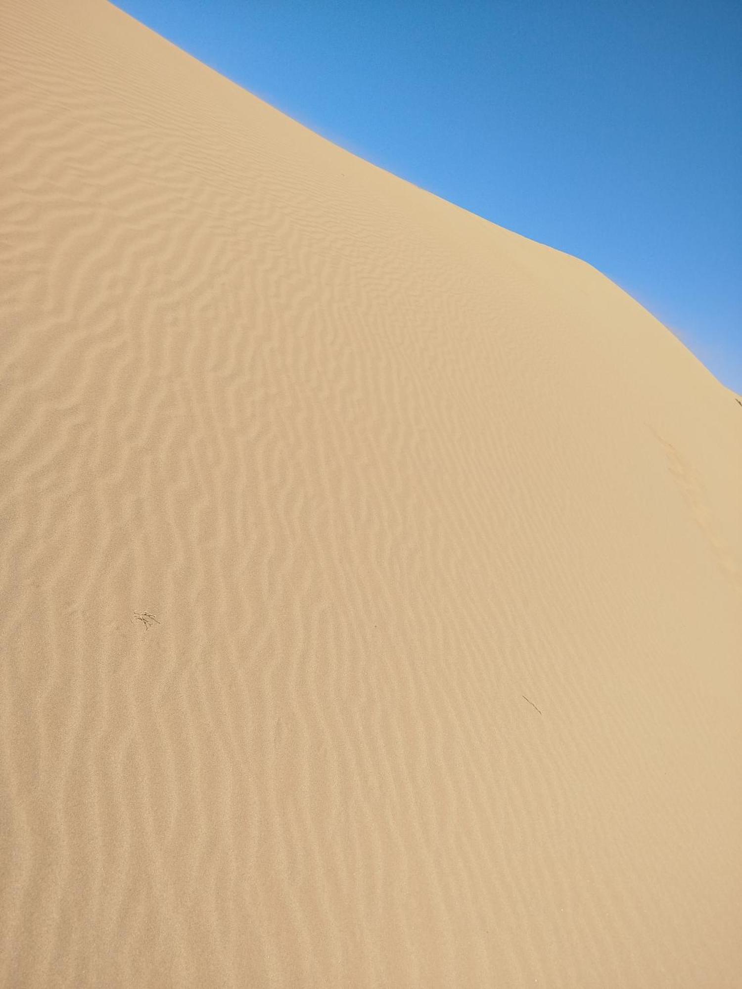 Maison Etoile Du Desert Tighmert Luaran gambar